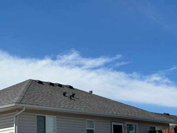 Best Metal Roofing Installation  in Richmond, IL